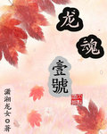 龙魂一号